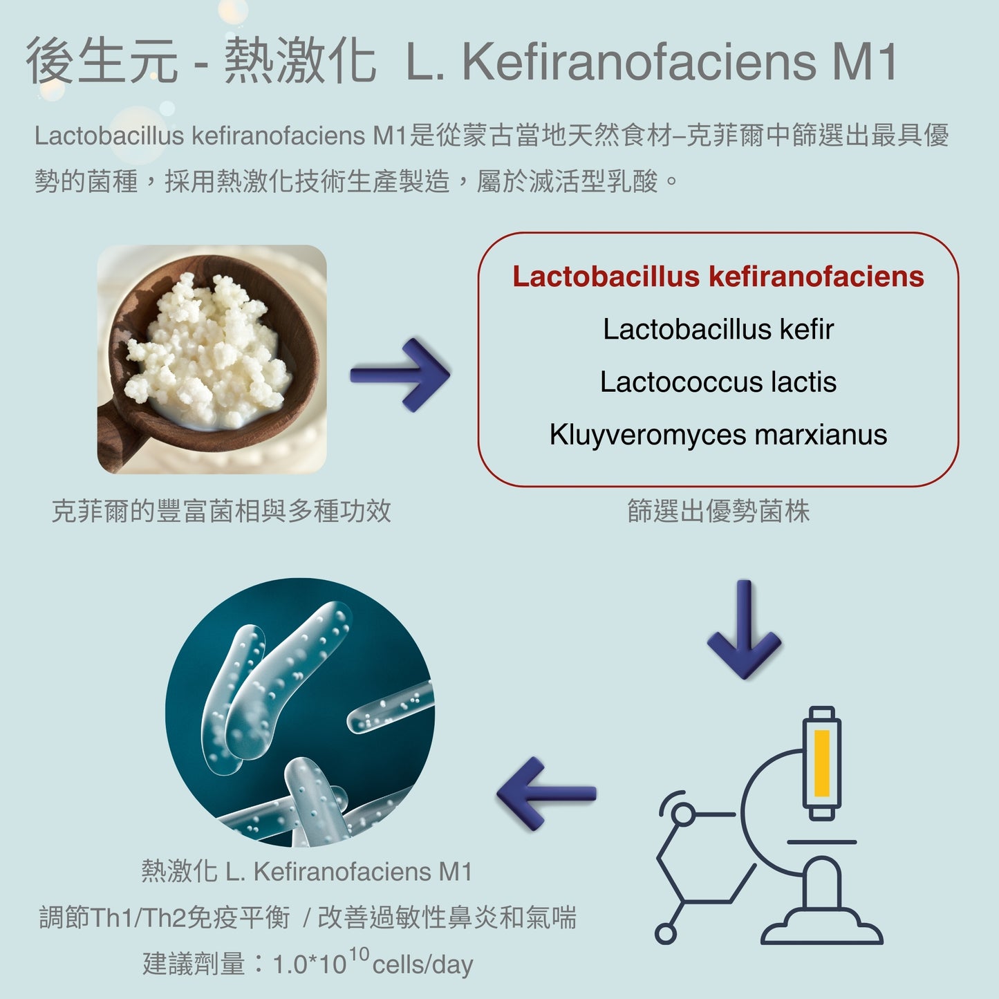 【Urbios優益生】新淨敏系列  M1配方：LP28防護專利益生菌