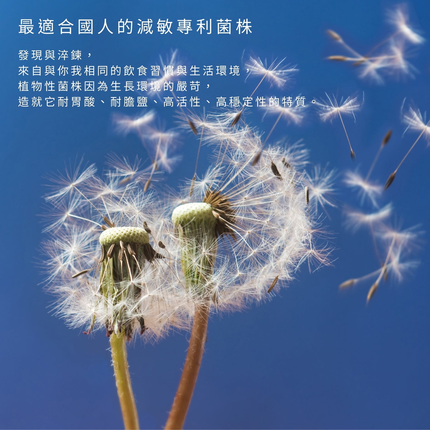 【Urbios優益生】新淨敏系列  M1配方：LP28防護專利益生菌